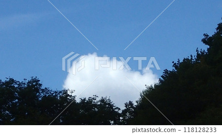 White clouds dancing in the roof 118128233