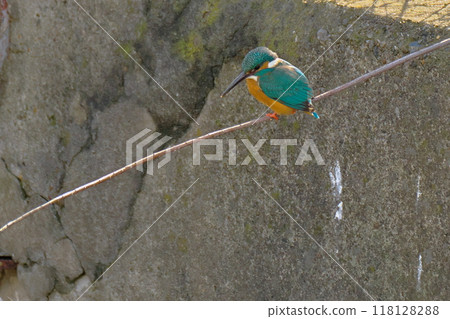 在住宅區發現的寶石 在住宅區發現的寶石 118128288