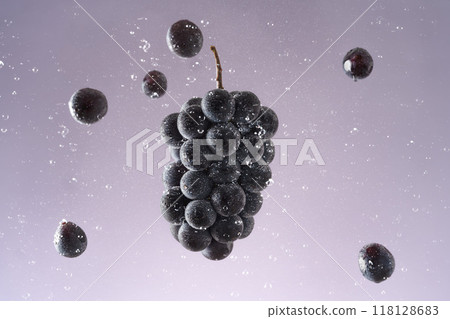 A close-up photo of fresh fruit capturing the moment when purple Kyoho grapes float and splash with water droplets A close-up photo of fresh fruit capturing the moment when purple Kyoho grapes float and splash with water droplets 118128683