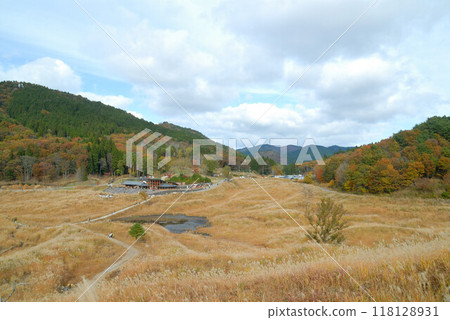 Silver grass spreading across the grassland, blue skies and autumn foliage on the mountains 118128931