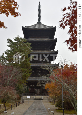 仁和寺五層塔 秋天 118129112