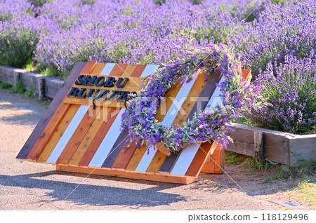 Stylish signboards and lavender in full bloom: an Instagrammable spot (Shobu Town, Kuki City, Saitama Prefecture) 118129496