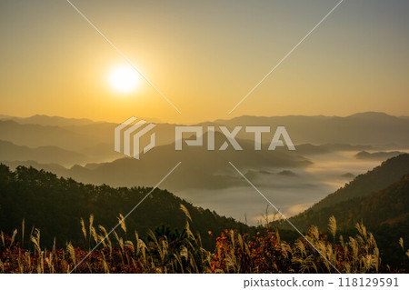 Beautiful sea of clouds Beautiful sea of clouds 118129591