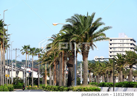 橫須賀海岸街 馬堀海岸 橫須賀海岸街 馬堀海岸 118129608