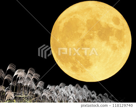 Autumn moon viewing scenery with a full moon and Japanese silver grass 118129740