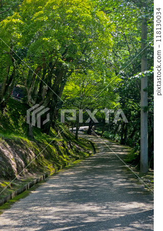 Hyogo, Sasayama, Ojiyama Park, The Path of Dislike 118130034