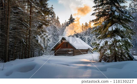 森林中僻靜的小屋，周圍都是厚厚的積雪 118130227