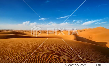 A vast desert landscape with golden sand dunes stretching as far as the eye can see 118130338