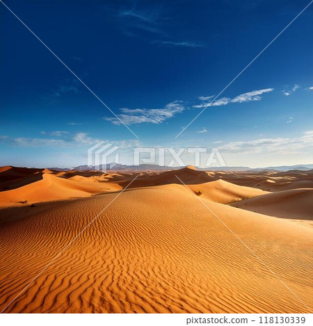 A vast desert landscape with golden sand dunes stretching as far as the eye can see 118130339