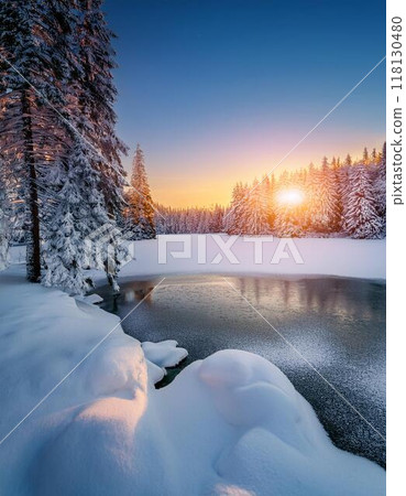 寧靜的冬季景觀，白雪覆蓋的樹木和沐浴在夕陽柔和光芒的冰凍湖泊。 118130480