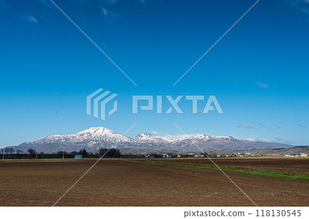 Spring at Bouyou Hill, Hokkaido Spring at Bouyou Hill, Hokkaido 118130545