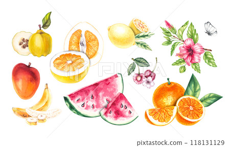 Watercolor hand drawn set of plants isolated Watercolor hand drawn set of plants isolated 118131129