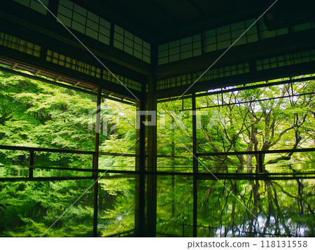 Kurama Rurikoin 118131558