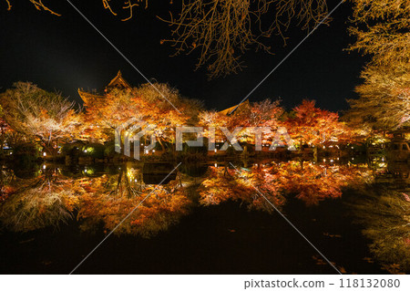 Autumn leaves light up of Toji Temple 118132080