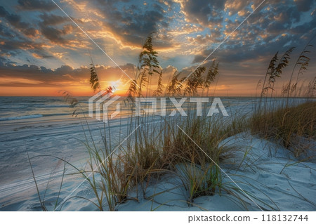 Serene beach sunset with sea oats Serene beach sunset with sea oats 118132744