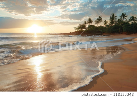 Tropical beach sunset with palm tree reflections 118133348