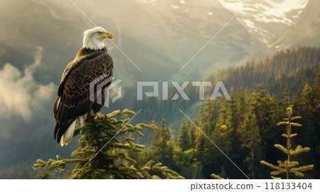 A bald eagle perched on a rock in the mountains 118133404