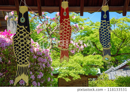 Carp streamers on a child's day 118133531