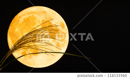 滿月和蒲葦-賞月和十五夜的圖像素材 118133560