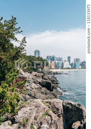 View of Dongbaekseom island and Haeundae Beach in Busan, Korea 118133975