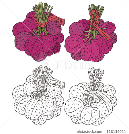Taiwan_Lychee 118134011
