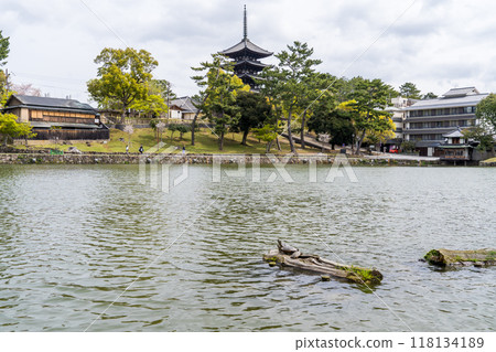 奈良公園猿澤池和興福寺五層塔 118134189