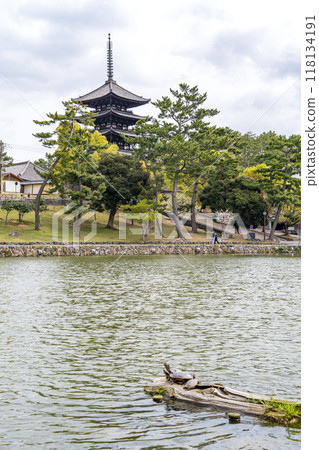 Sarusawa Pond in Nara Park and the five-story pagoda of Kofuku-ji Temple 118134191