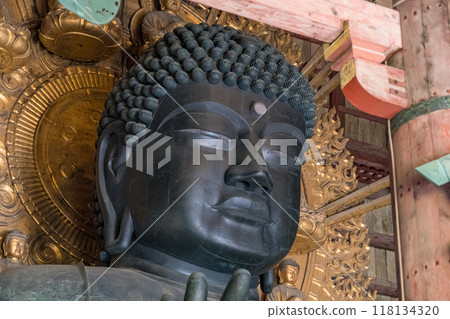 Great Buddha of the Great Buddha Hall of Todaiji Temple in Nara Prefecture, Japan 118134320