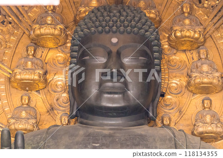 日本奈良縣東大寺大佛殿內的大佛 日本奈良縣東大寺大佛殿內的大佛 118134355
