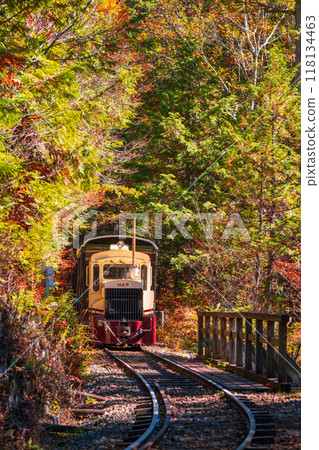 Akasawa Natural Recreation Forest: Akasawa Forest Railway Trolley Train 118134463