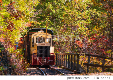 赤澤自然休養林：赤澤森林鐵路無軌電車 118134464