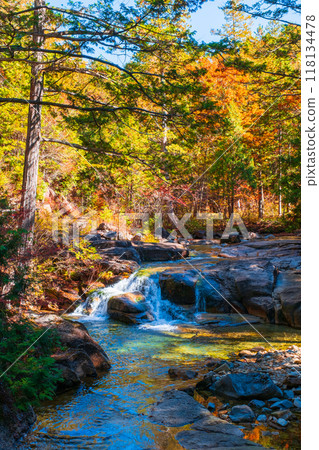 赤澤溪谷（秋季）：赤澤自然休養林 118134478