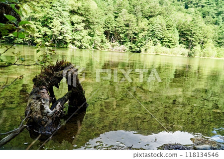 上高地治癒明神池 上高地治癒明神池 118134546