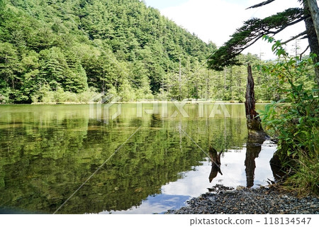 上高地 明神池的美景 上高地 明神池的美景 118134547