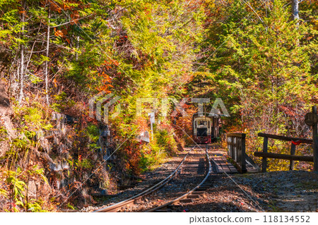 赤澤自然休養林:赤澤森林鐵路無軌電車 赤澤自然休養林:赤澤森林鐵路無軌電車 118134552
