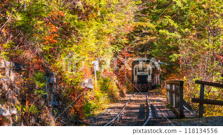 Akasawa Natural Recreation Forest: Akasawa Forest Railway Trolley Train 118134556