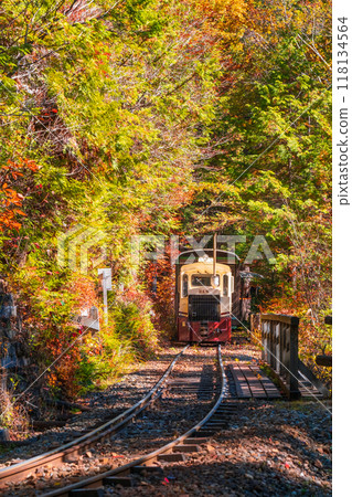 Akasawa Natural Recreation Forest: Akasawa Forest Railway Trolley Train 118134564