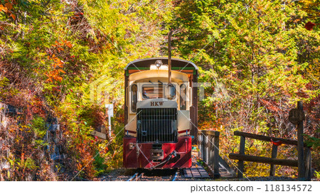 Akasawa Natural Recreation Forest: Akasawa Forest Railway Trolley Train 118134572