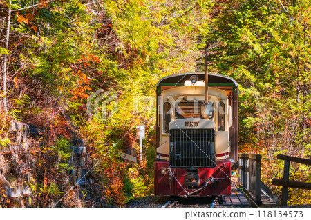 赤澤自然休養林：赤澤森林鐵路無軌電車 118134573