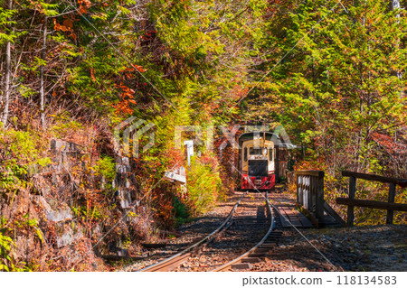 Akasawa Natural Recreation Forest: Akasawa Forest Railway Trolley Train 118134583