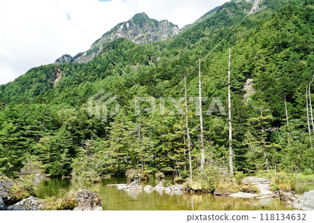 上高地,清新的綠色山脈 上高地,清新的綠色山脈 118134632