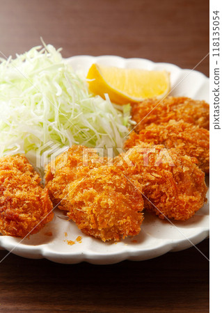 fried oysters  118135054