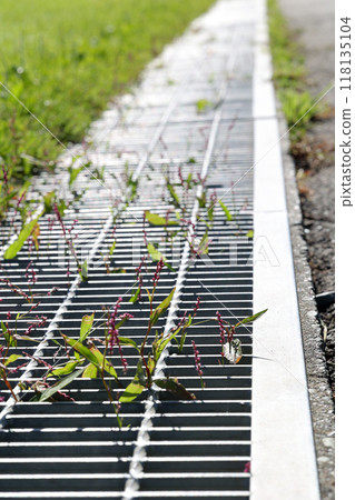 drain, sewer, sewerage, asphalt, rainwater, rain, concrete, ground, outdoors, road, gutter 118135104