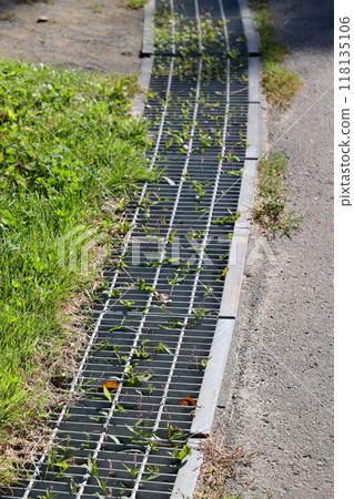 drain, sewer, sewerage, asphalt, rainwater, rain, concrete, ground, outdoors, road, gutter 118135106