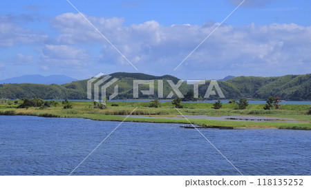 Yonago Waterfowl Park 2 (August) Yonago Waterfowl Park 2 (August) 118135252