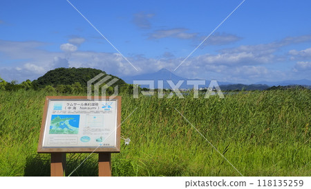 米子水禽公園6（8月） 118135259