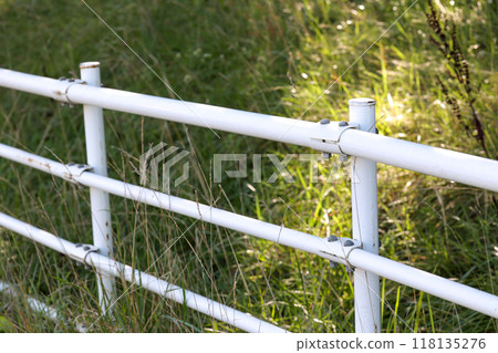 guardrail, sidewalk, pedestrian separation, fence, road, outdoor, post, transportation, pipe, safety, automobile guardrail, sidewalk, pedestrian separation, fence, road, outdoor, post, transportation, pipe, safety, automobile 118135276