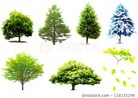 例證材料套樹 118135299