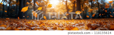 夕陽映照下的秋葉，一幅深秋的景象 118135614