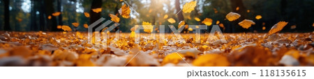 秋天森林裡落葉堆積的景象 秋天森林裡落葉堆積的景象 118135615